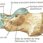 Calca 2