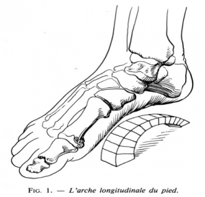 Ec pied 1