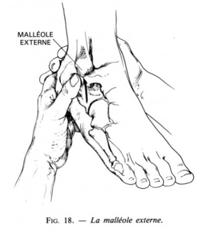 Ec pied 10