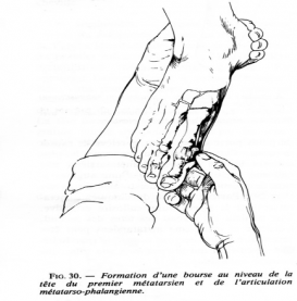 Ec pied 19