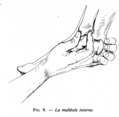 Ec pied 7