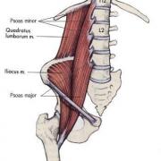 Ilio psoas 