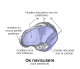 Os naviculaire