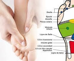 Refle xologie plantaire 2